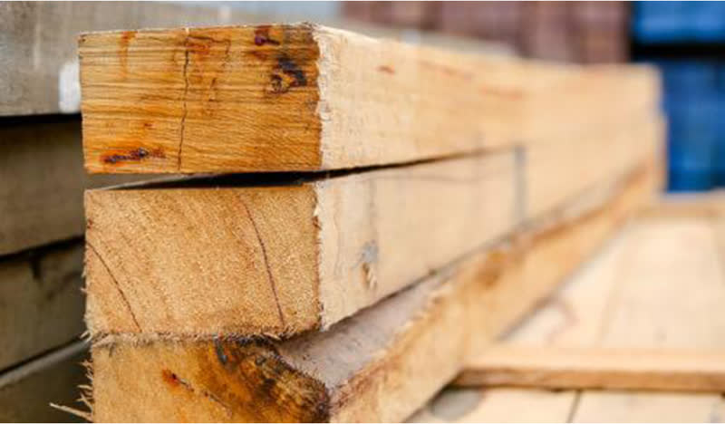 Sawn timber, close-up of the end grain