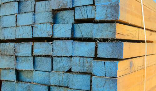 A timber stack with blue-painted ends