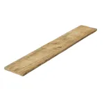 Treated Pine Paling 100x12mm